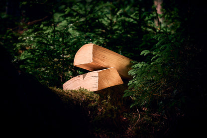 Scheitholz Buche 33 cm
