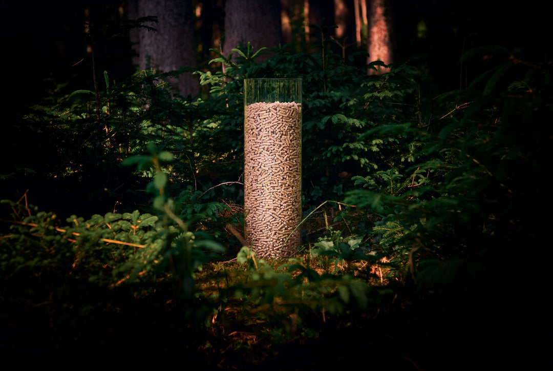 Holzpellets lose
