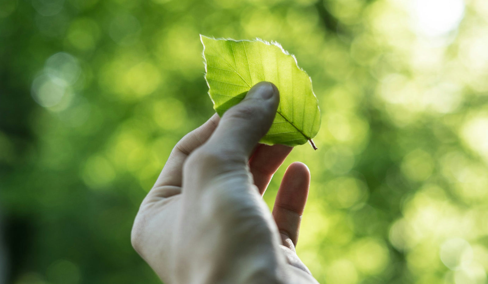 Nachhaltigkeit leben